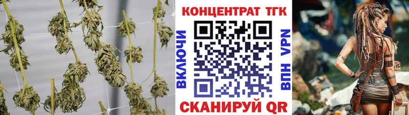мориарти клад  Калтан  ТГК THC oil  kraken вход 